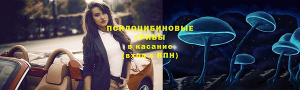 трава Пересвет