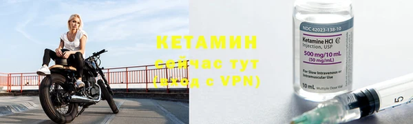 трава Пересвет