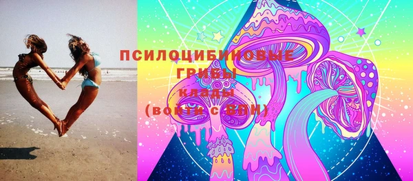 трава Пересвет