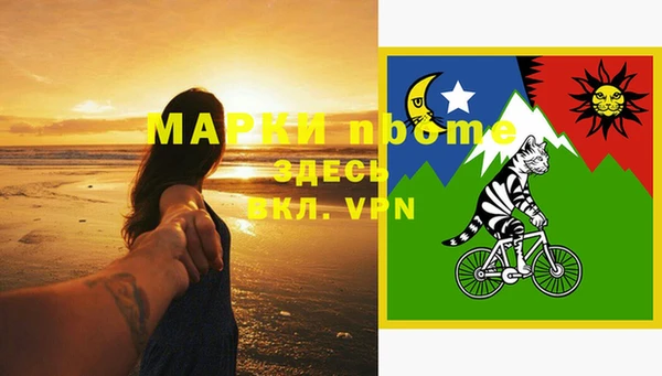метадон Пестово