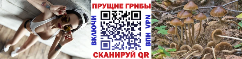 Галлюциногенные грибы мухоморы Казань