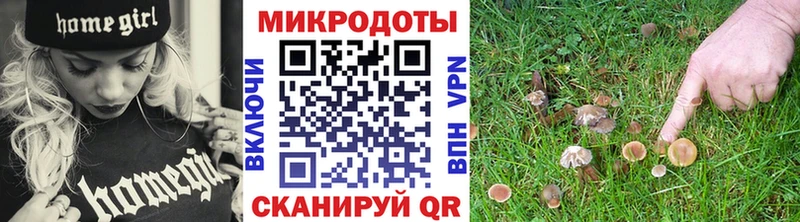 Галлюциногенные грибы прущие грибы  Казань 