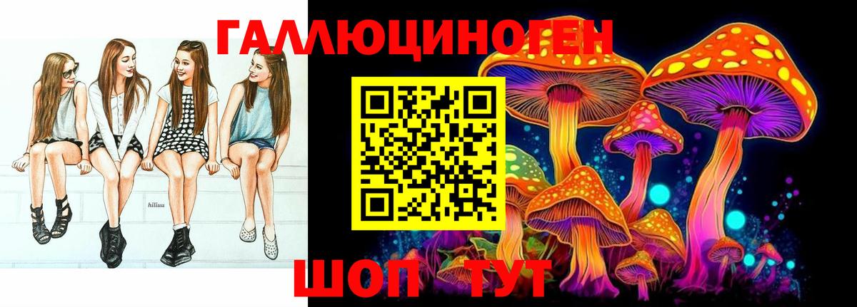 Псилоцибиновые грибы GOLDEN TEACHER Казань
