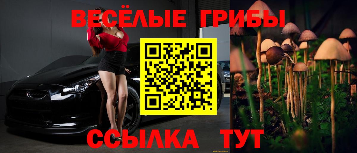 Галлюциногенные грибы Magic Shrooms  Казань 